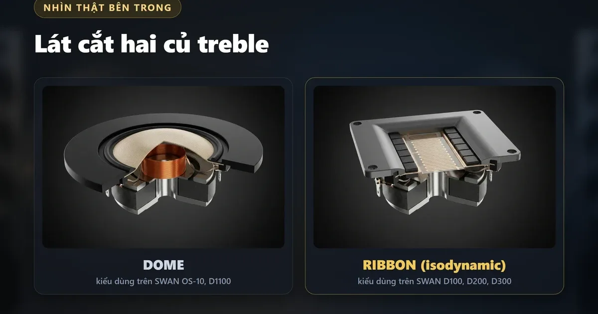 Củ loa treble dome và ribbon khác nhau thế nào