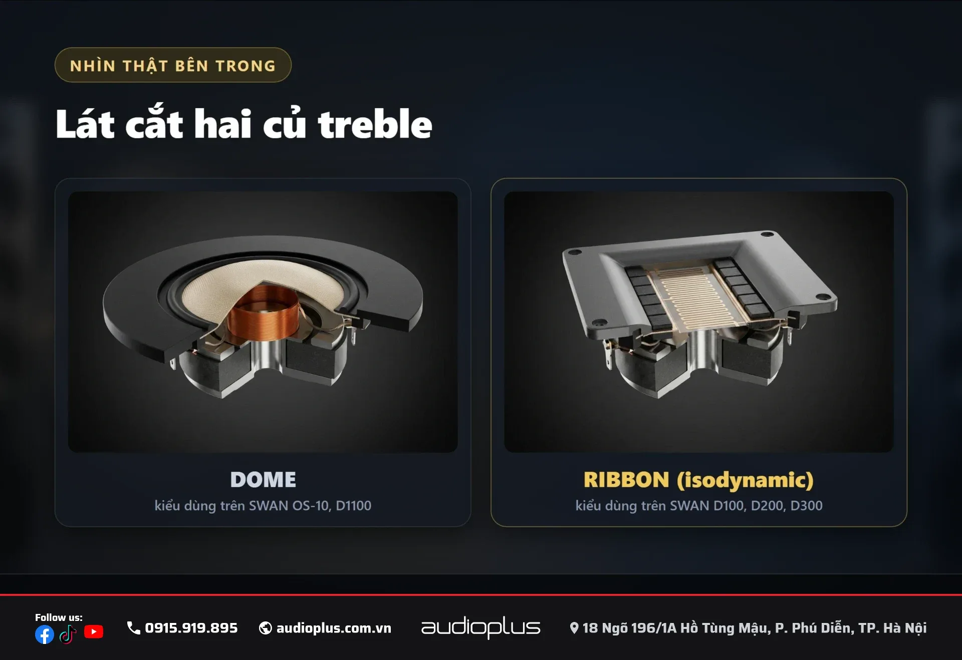 Lát cắt bên trong củ treble dome kiểu dùng trên SWAN OS-10 và củ ribbon isodynamic kiểu dùng trên SWAN D100.