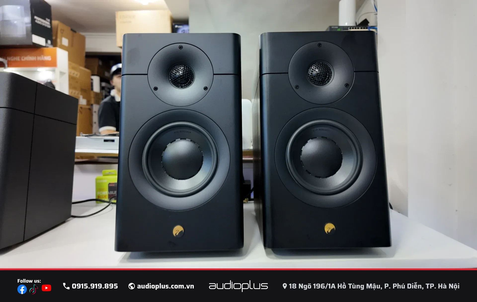 Loa bookshelf passive SWAN D3.1 MKII với thành vách thùng dày và hệ củ loa cao cấp.