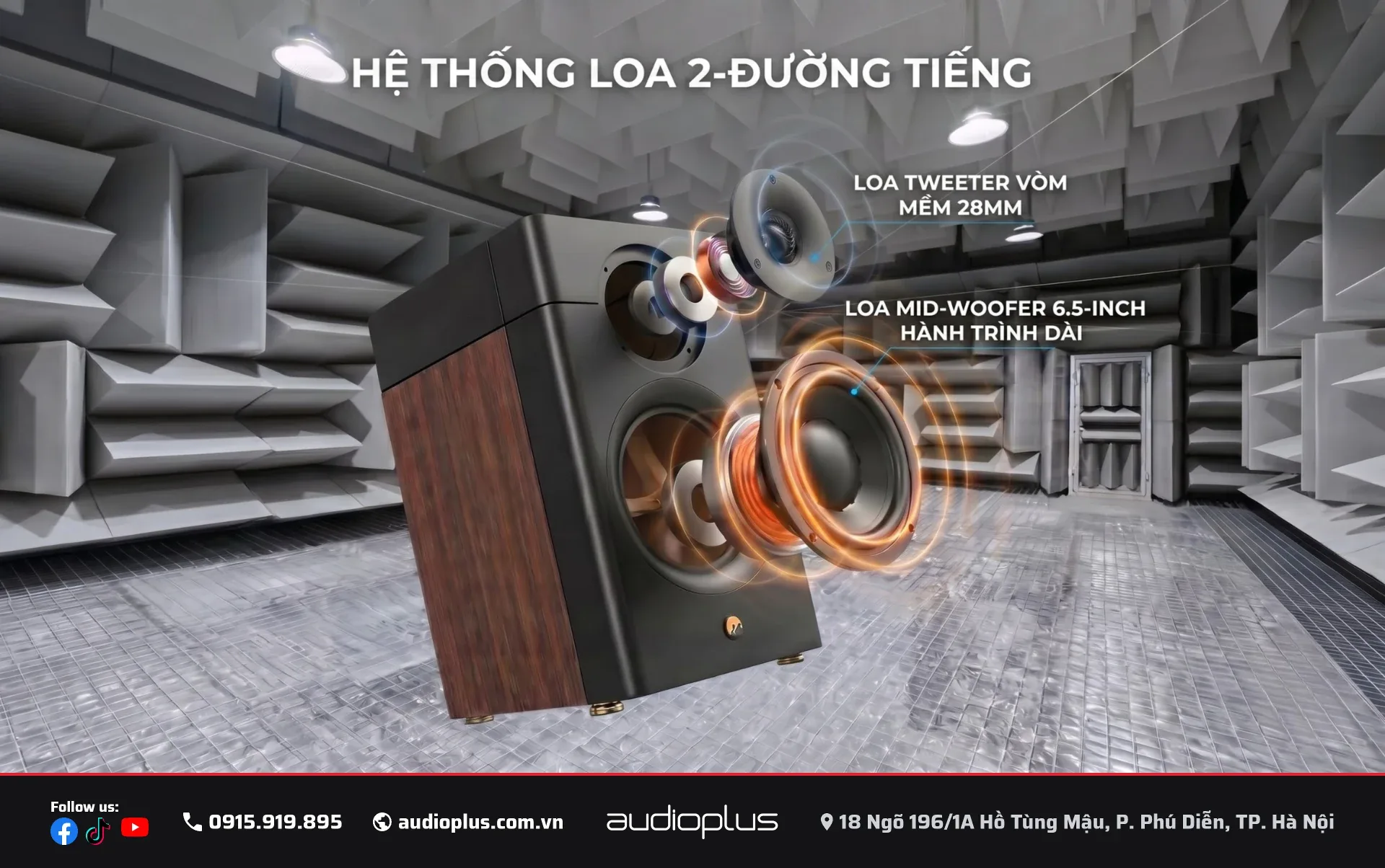 Hệ thống loa 2 đường tiếng SWAN D3.1 MKII — tweeter vòm mềm 28mm và mid-woofer 6.5 inch
