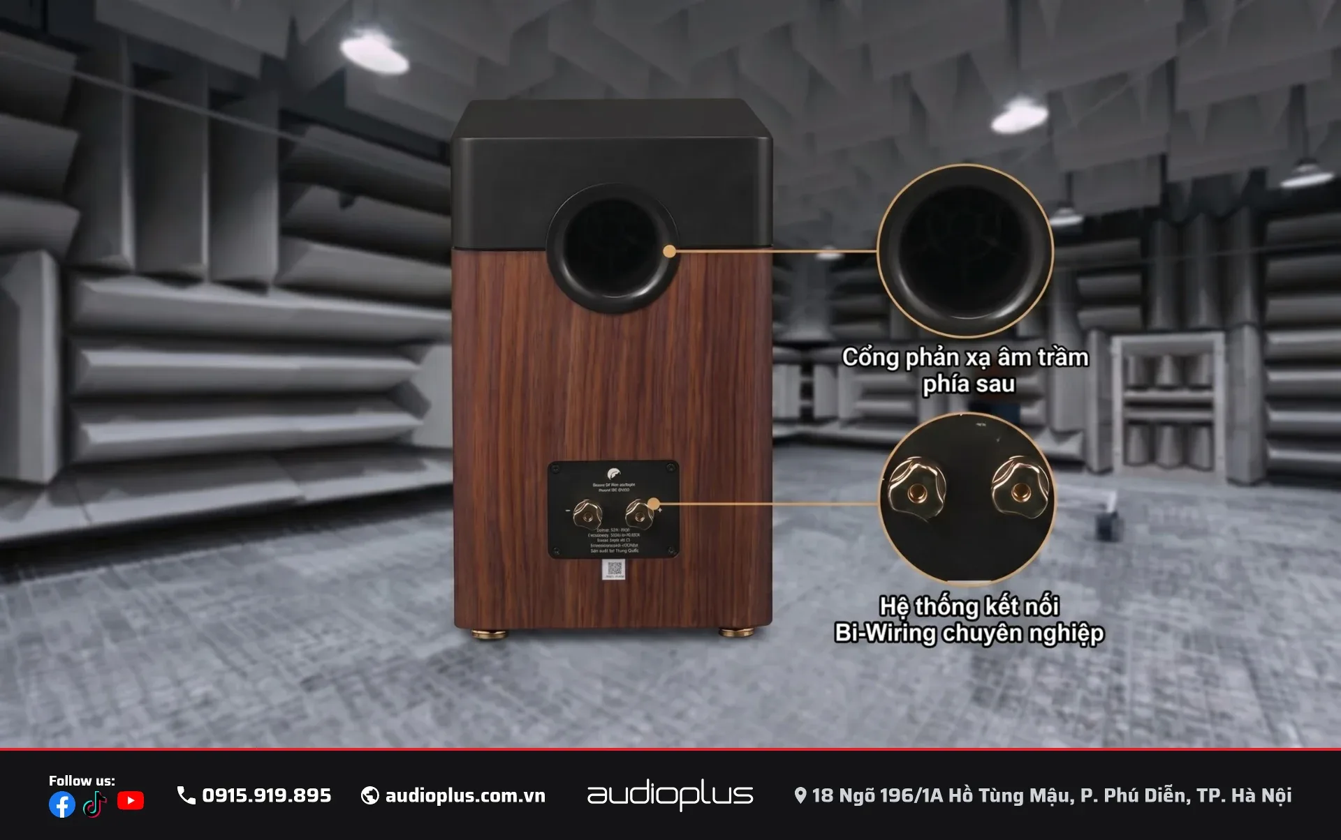 Cổng bass reflex phía sau và hệ thống kết nối loa SWAN D3.1 MKII