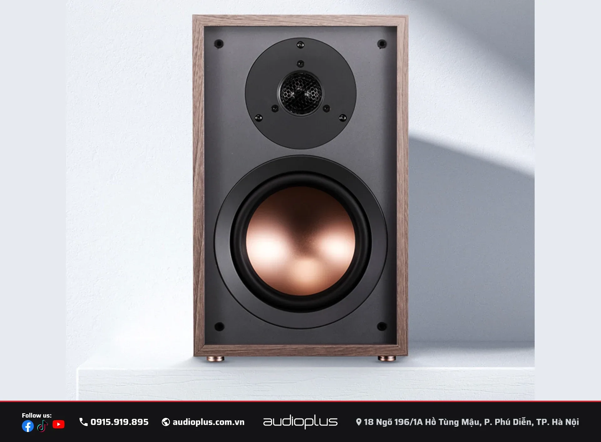 SWAN Oasis MAX với tweeter dome lụa 28mm và woofer 6 inch